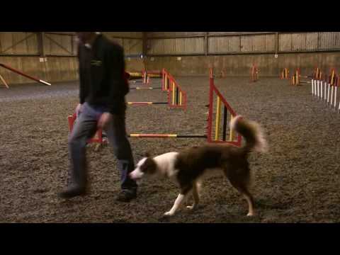 Taking turns -Banter and Oz