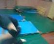 El potro salvaje 2, resurrección