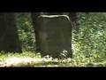 Lesko Lesku Linsk Cemetery לסקו לינסק בית הקברות