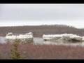 canada goose hunt fort severn