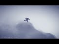 Bispen Flybys: Round Two [Original Video]