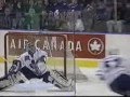 nhl fights saves GOALS!!!!
