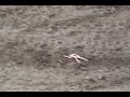 Naked chick gets run over by dirt bike