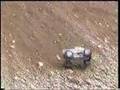 FG-Monster-Truck-in-