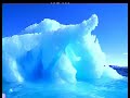 Penguin Jantan - Kisah Bapa Misali