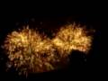 feu d'artifice (4)
