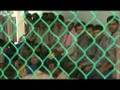 The plight of South Asian migrant workers - 20 Sep 08