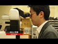 南極プレート