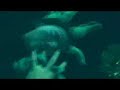 Bunky - Space alien movie Bunky - Space alien movie