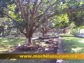 rafting en jalcomulco veracruz
