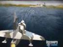 MALVINAS POR SIEMPRE ARGENTINAS MALVINAS POR SIEMPRE ARGENTINAS
