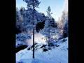 Simon-and-Garfunkel-
