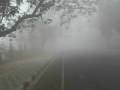 chinmay,fog,