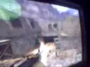 counter-strike