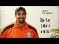 Hierbas para cocinar
