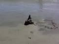 Andrew Crushes a Sandcastle