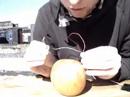 THE ELECTRIFIED APPLE (on rooftop)
