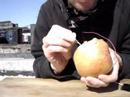 THE ELECTRIFIED APPLE (on rooftop)