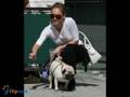 Famous & Pugs Full