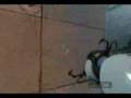 Portal: Level 13 in 10 Seconds