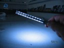 Gifted Led 10LED version