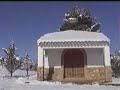 El Picazo Blanco