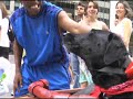 Sidecar Dog In New York Sidecar Dog In New York