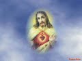 Por Amor - Anjos de Resgate Por Amor - Anjos de Resgate
