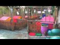 Kittens and Puppies in... :: The kitty and puppy haven are being forced to relocate. The only...