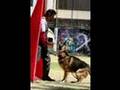 CAMPEONATO NACIONAL SCHH -- CCMPA