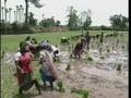 South India Travel Doc - Part 05