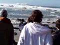 Mavericks Surf Contest, 2008
