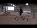 Zanga and Me - 1 change