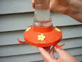 #444 How to feed hummingbirds #444 How to feed hummingbirds