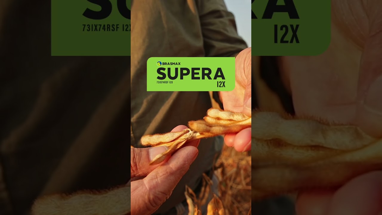 O plantio está chegando! | SUPERA 12X