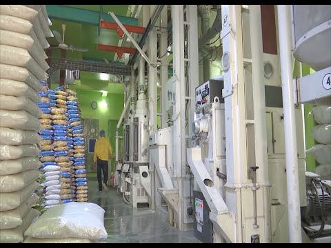 Bộ Công Thương kiến nghị xuất khẩu gạo trở lại bình thường