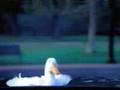 AFLAC