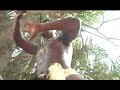 African slave fight for love, freedom in action hero film