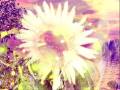 BE the Change.wmv