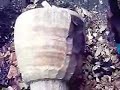 djembe desde cero 2