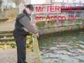 team94 - peche des carnassiers aux leurres - en - no kill