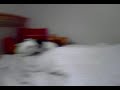 LiLian Horny Dog XD
