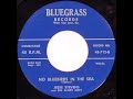 Jesse Stevens - No Bluebirds In The Sea