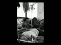 Fight Malaria