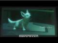 videos de Bolt Trailer