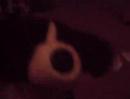 this is the life bild a bear band