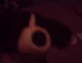 this is the life bild a bear band