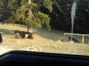 GOATS CROSS THE ROAD. SOUTH OLYMPUS