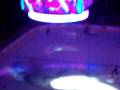 videos de Washington Capitals Introduction