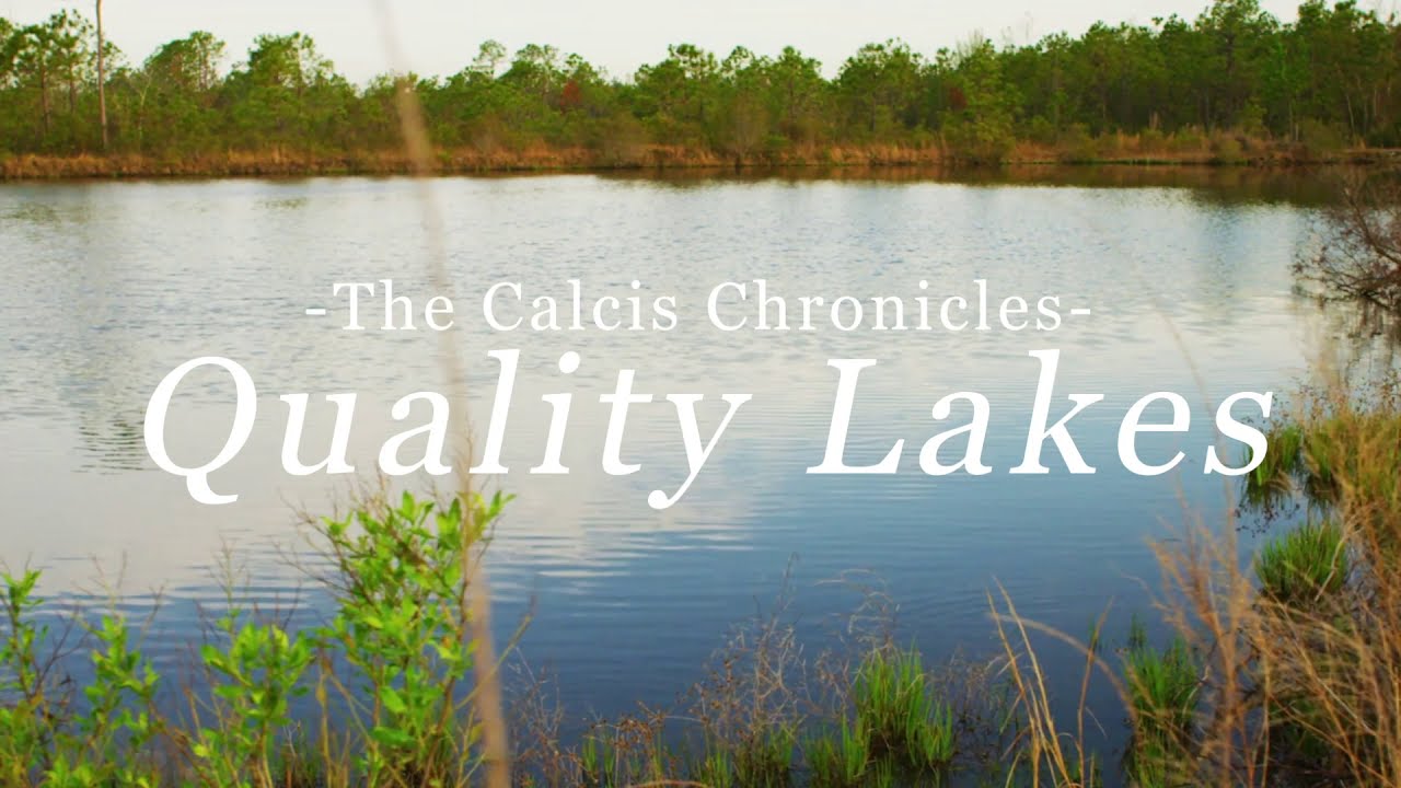 Quality Lakes